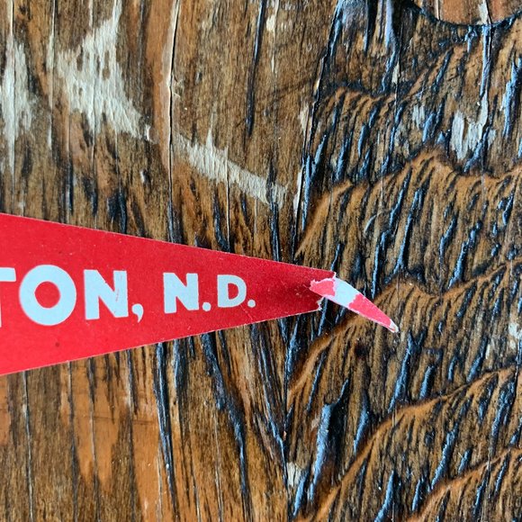 Chahinkapa Park, Wahpeton ND Pennant.  FREE🔥🔥 w/ any other purchase! - Picture 2 of 3